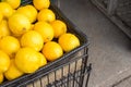 Many Lemons in a basket Royalty Free Stock Photo