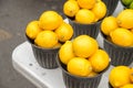 Many Lemons in a basket Royalty Free Stock Photo