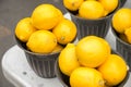 Many Lemons in a basket Royalty Free Stock Photo