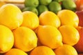 Many lemons, closeup. Fresh citrus fruit Royalty Free Stock Photo