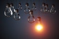 Many light bulbs and one is glowing. 3D rendered illustration