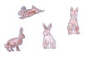 Many little Easter bunnies painted drawing