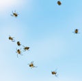 Many little spiderlings fly across the sky. Young spiders