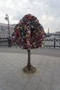 Many locks on the tree. Royalty Free Stock Photo