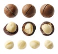 Many macadamia nuts isolated on white, collage Royalty Free Stock Photo