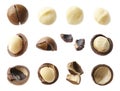 Many macadamia nuts isolated on white, collage Royalty Free Stock Photo