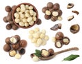 Many macadamia nuts isolated on white, collage Royalty Free Stock Photo