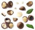 Many macadamia nuts isolated on white, collage Royalty Free Stock Photo