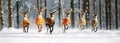 Many magical deer running in the snowy winter forest. Snowfall among the trees. Wide scale natural image of animals in the woods