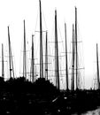 many mainmasts of the boats with black and white effect Royalty Free Stock Photo