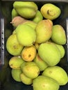 Fruit - Mango