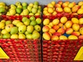 Many Mangos For Sale in Fruit Shop