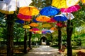 Many, many colorful umbrellas to the delight of all