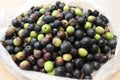 Many Manzanilla olives in a bag Royalty Free Stock Photo