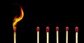 Many matches keep distance from used matches to reduce reflection and stop domino effect for social distancing campaign. Royalty Free Stock Photo