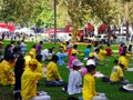 Falun Gong Members Meditating in Hyde Park, Sydney, Australia Royalty Free Stock Photo