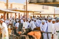 Arab wholesale market for goats and cattle in Nizwa, Islamic Oman, Asia