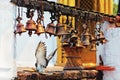 Many metal sacrificial bells and landing dove