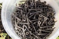 Many metal screws on wood lie in plastic containers, construction concept, tool preparation, top view