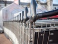 Many metal shopping carts on a parking lot near supermarket outdoors Royalty Free Stock Photo