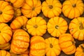 Many mini pumpkins at a farmers open market. Autumn harvest