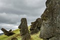 Many moai heads in the Rano Raraku quarry