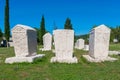 Many monumental medieval tombstones lie scattered in Herzegovina Royalty Free Stock Photo