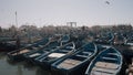 Many moored old fishing boats under the summer shining sun. Action. A pier with many boats and flying seagulls.