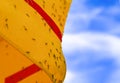 Many mosquitos on yellow and red striped awning with steel structure, blue sky and white cloud background Royalty Free Stock Photo