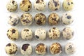 Many quail eggs in plastic package closeup