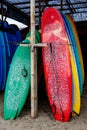 Many multi-colored surfboards in a row Royalty Free Stock Photo