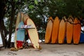 Many multi-colored surfboards in a row for rent Royalty Free Stock Photo