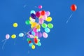 many multicolored balloons flying in the blue sky. Holiday accessories and decorations Royalty Free Stock Photo
