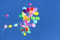 many multicolored balloons flying in the blue sky. Holiday accessories and decorations Royalty Free Stock Photo