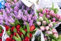 Many multicolored fresh tulips bouquets background. Dutch flower market stall or store. Wholesale warehouse and Royalty Free Stock Photo