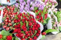 Many multicolored fresh tulips bouquets background. Dutch flower market stall or store. Wholesale warehouse and Royalty Free Stock Photo