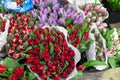 Many multicolored fresh tulips bouquets background. Dutch flower market stall or store. Wholesale warehouse and Royalty Free Stock Photo