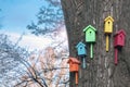 Many multicolored nesting boxes hang on a thick tree in the city. Five houses for the birds are on the trunk of a large tree.