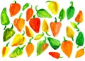 Many multicolored sweet peppers