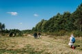 Many mushroom pickers are going to collect mushrooms with buckets in pine forest. Mushrooming. Mushrooms picker. Mushroomer Royalty Free Stock Photo