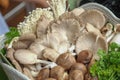 Many mushrooms and vegetables in a basket prepared for cooking