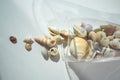 Ocean shells in glass as an idea of room interior