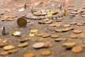 Many old coins on the ancient altar.