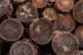 Many of old dry brown woodblocks in a stack Royalty Free Stock Photo
