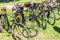 Many old rusty vintage retro german military bicyles stand in row on open air parking at city park. World war 2 bike transport