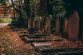 many old tombstones, leaves and trees in a cemetery