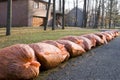 Many orange garbage bags at curb