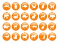 Many orange icons