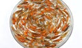 Fish pattern in circular bowl Royalty Free Stock Photo