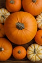 Many orange pumpkins background Royalty Free Stock Photo